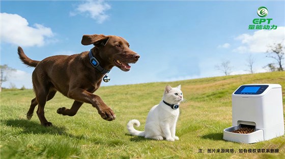 宠物自动投食设备电池